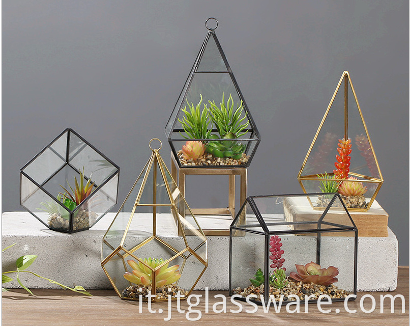 Glass Plant Terrarium